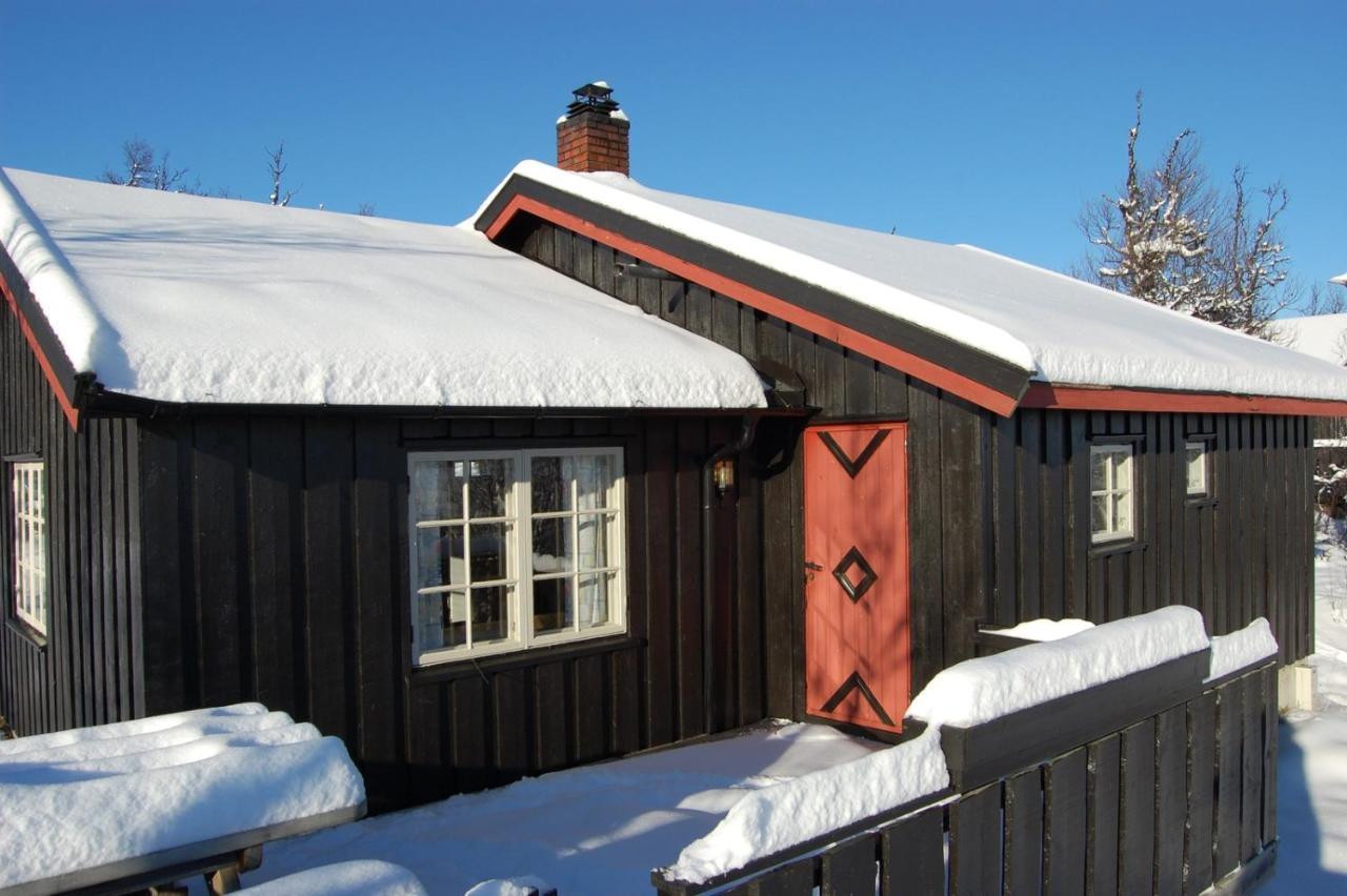 Torsetlia Cottages And Apartments Uvdal Exterior foto